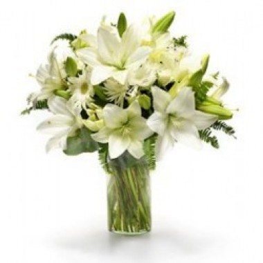 Lilies Blancos