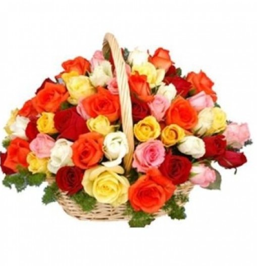 50 rosas